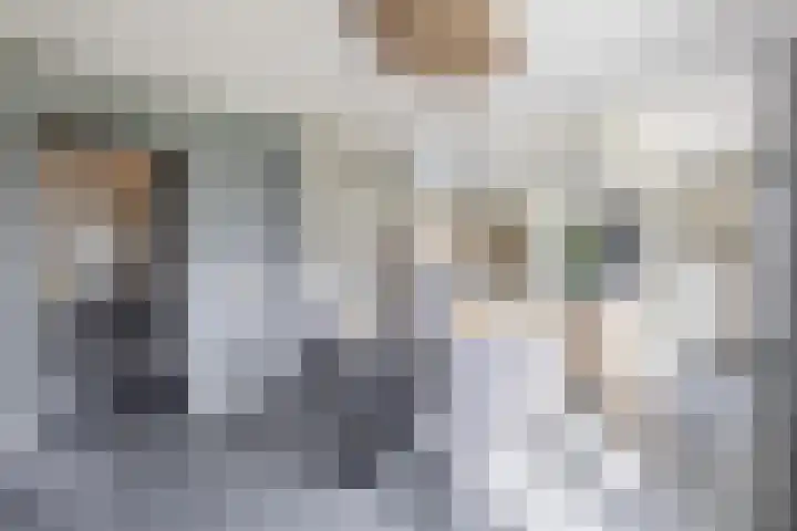 Hof 6 Meijel thumbnail 11