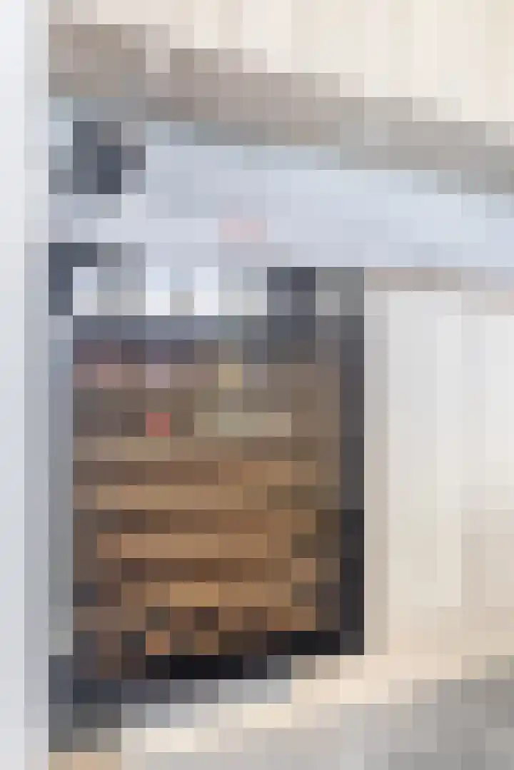 Hof 6 Meijel thumbnail 14