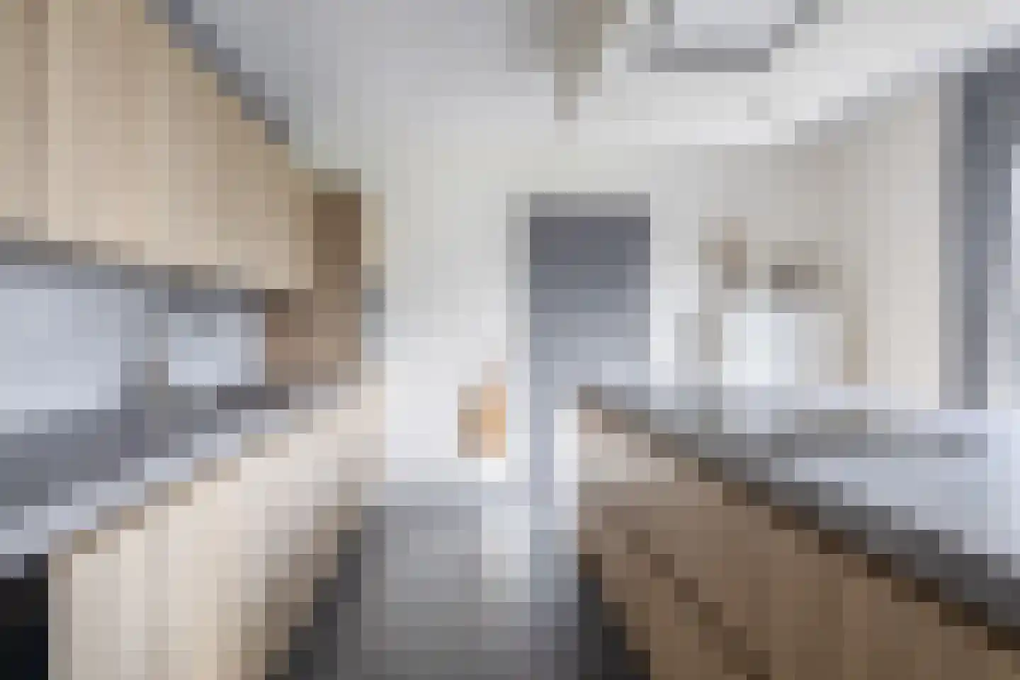 Hof 6 Meijel thumbnail 16