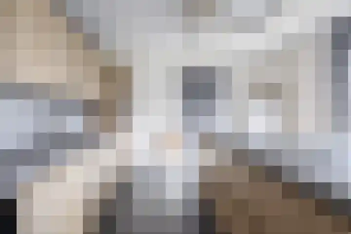 Hof 6 Meijel thumbnail 16