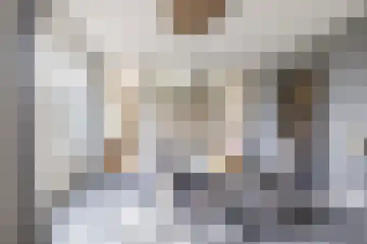 Hof 6 Meijel thumbnail 21