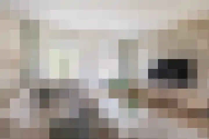 Hof 6 Meijel thumbnail 24