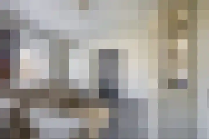 Hof 6 Meijel thumbnail 34