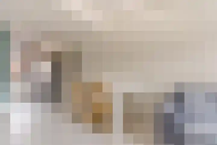 Hof 6 Meijel thumbnail 36
