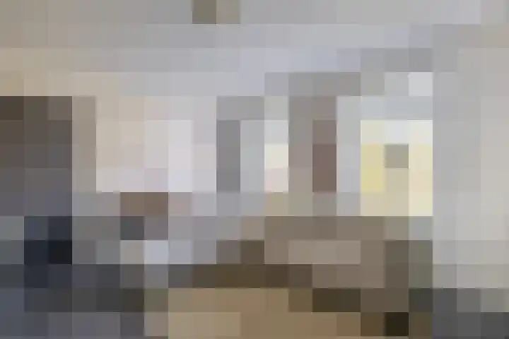 Hof 6 Meijel thumbnail 36