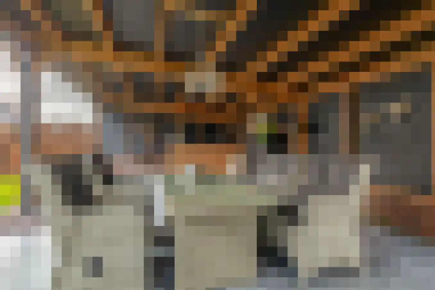 Hof 6 Meijel thumbnail 38