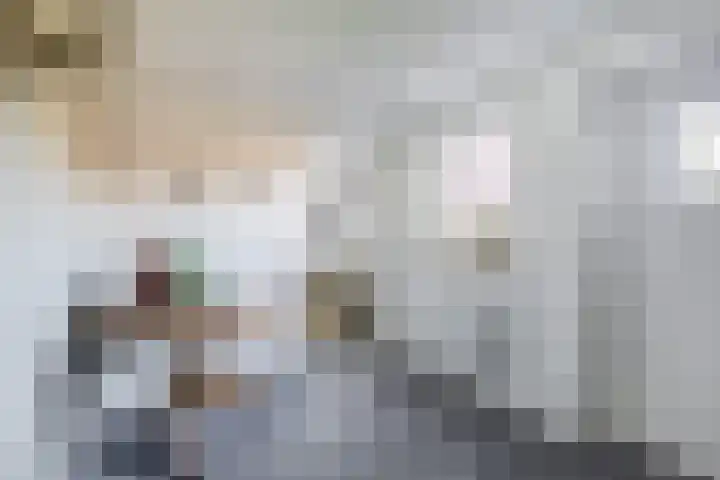 Hof 6 Meijel thumbnail 38