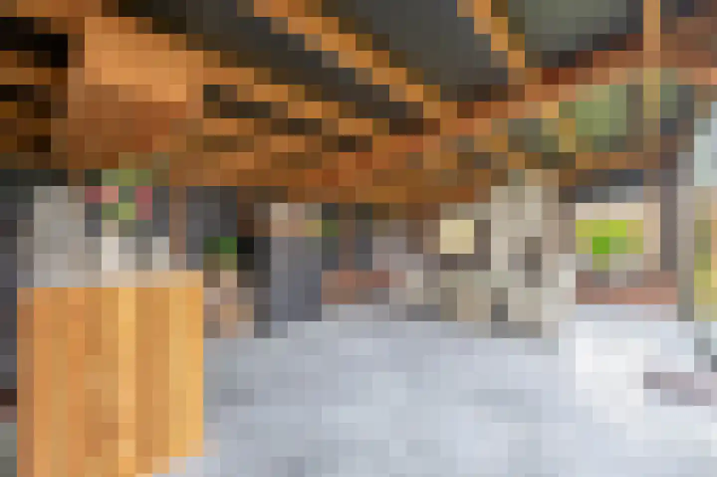 Hof 6 Meijel thumbnail 39