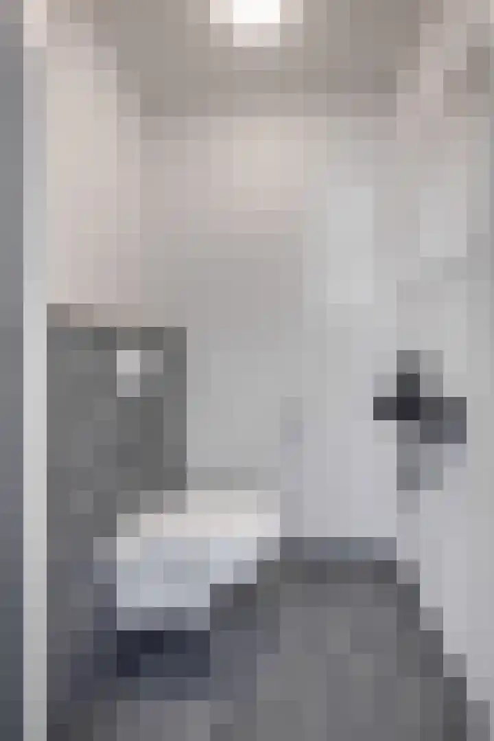 Hof 6 Meijel thumbnail 40