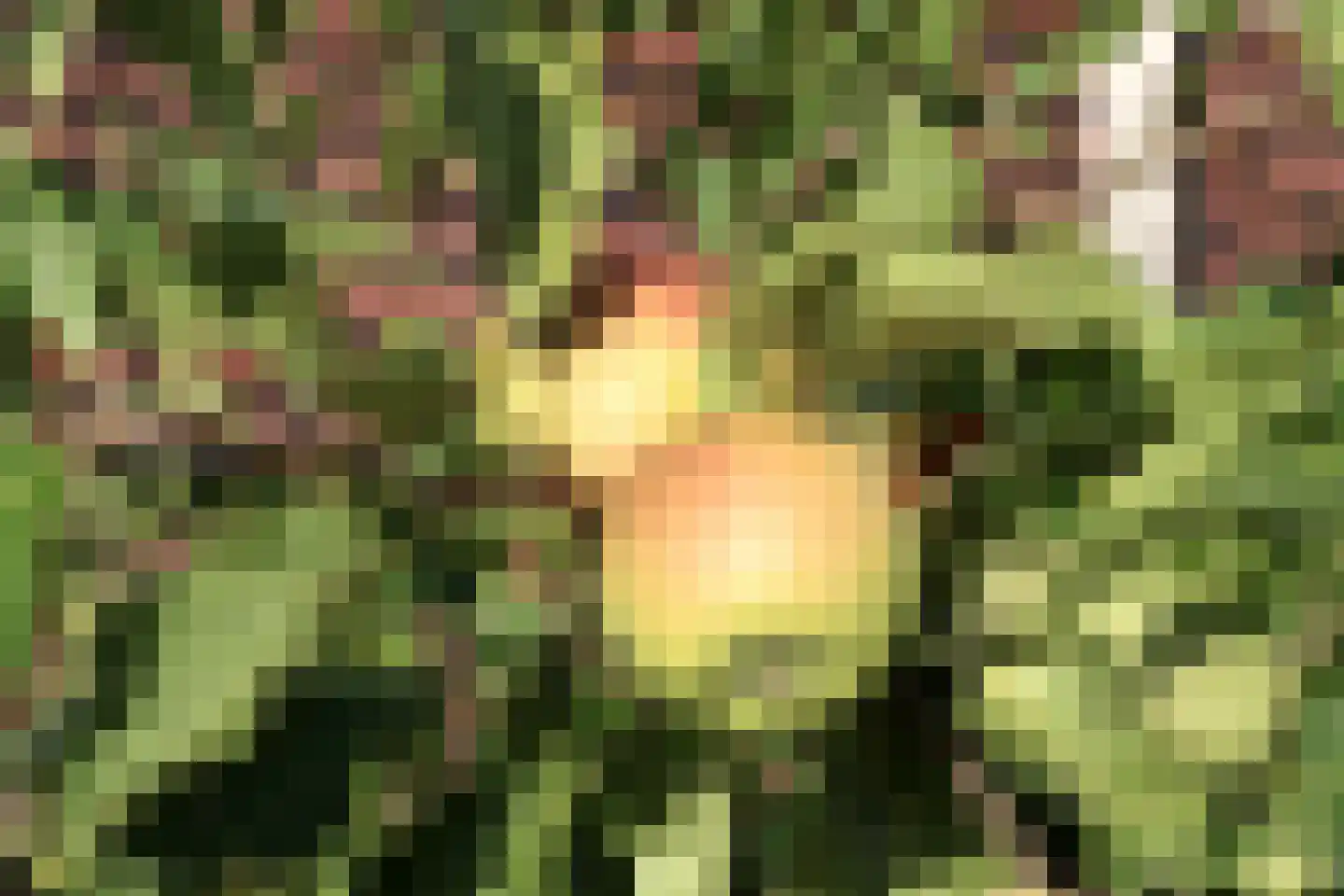 Hof 6 Meijel thumbnail 42