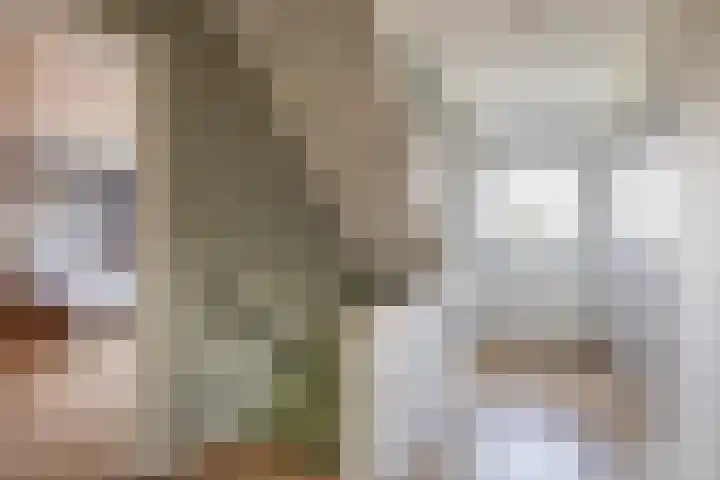 Hof 6 Meijel thumbnail 41