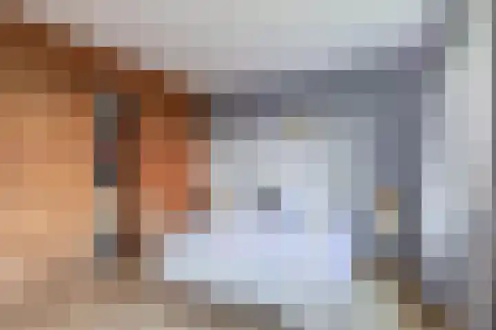 Hof 6 Meijel thumbnail 45