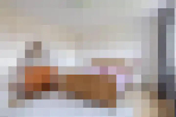 Hof 6 Meijel thumbnail 47