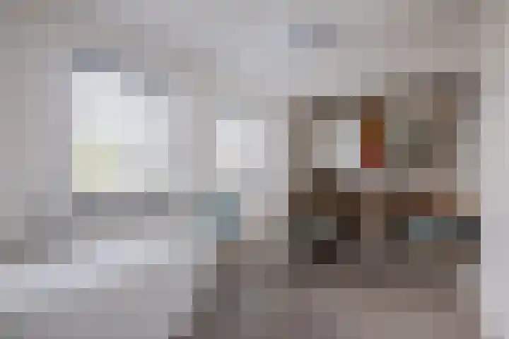 Hof 6 Meijel thumbnail 51