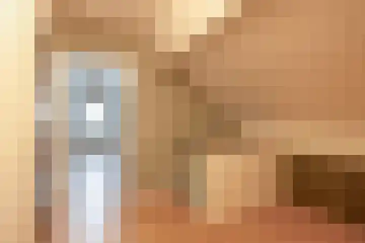 Hof 6 Meijel thumbnail 59