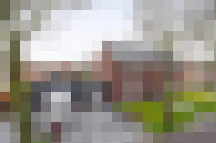 Hof 6 Meijel thumbnail 6