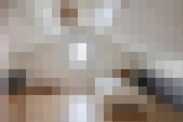 Hof 6 Meijel thumbnail 60