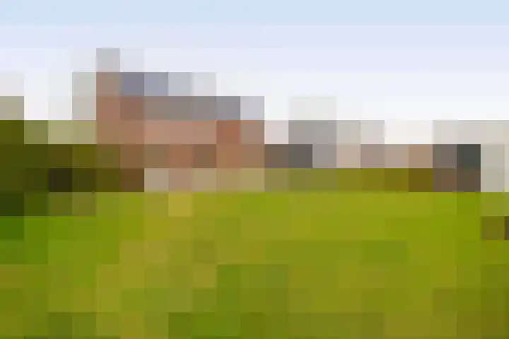 Hof 6 Meijel thumbnail 64