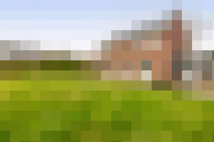 Hof 6 Meijel thumbnail 66