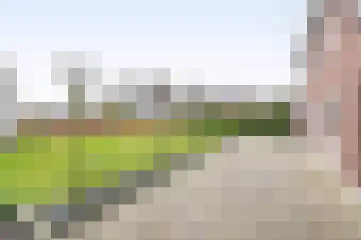 Hof 6 Meijel thumbnail 67