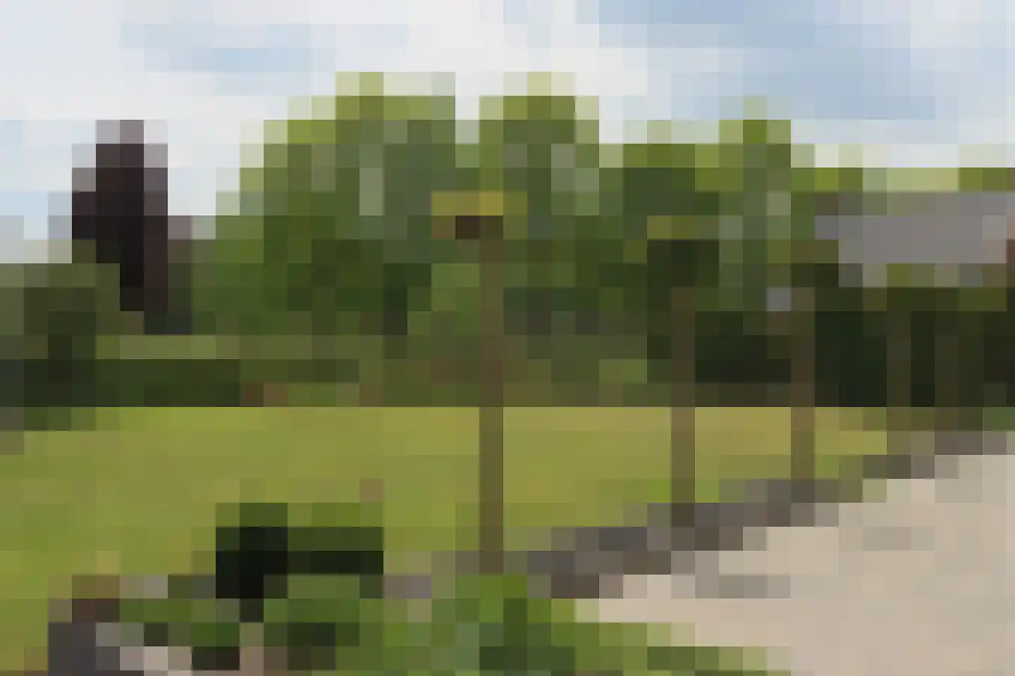 Hof 6 Meijel thumbnail 68