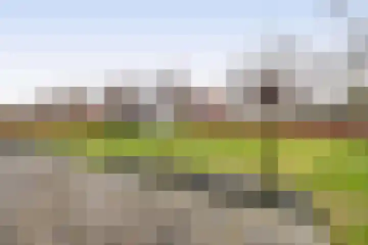 Hof 6 Meijel thumbnail 68