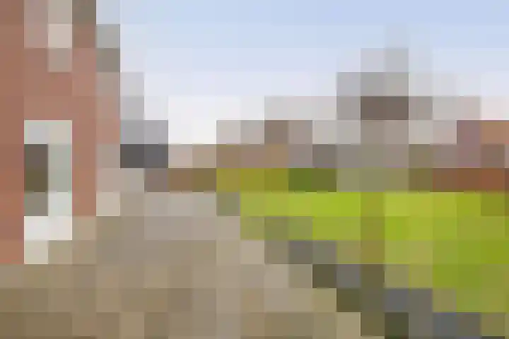 Hof 6 Meijel thumbnail 69