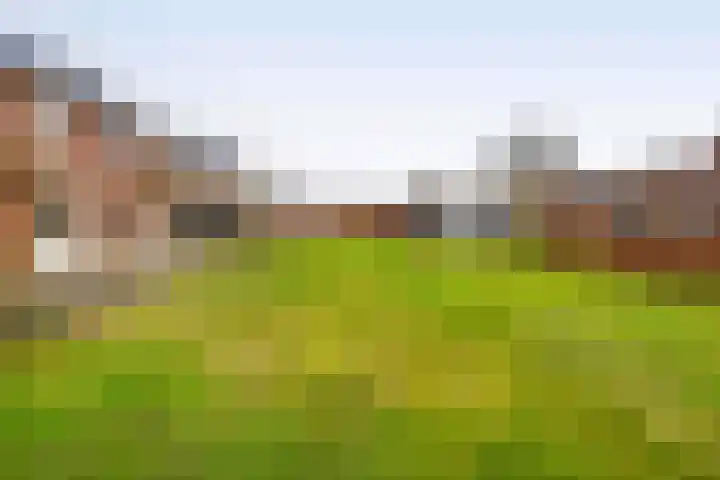 Hof 6 Meijel thumbnail 71