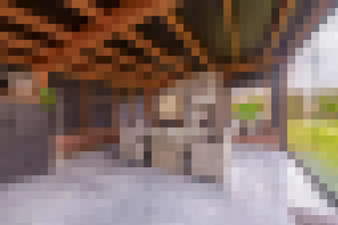 Hof 6 Meijel thumbnail 74