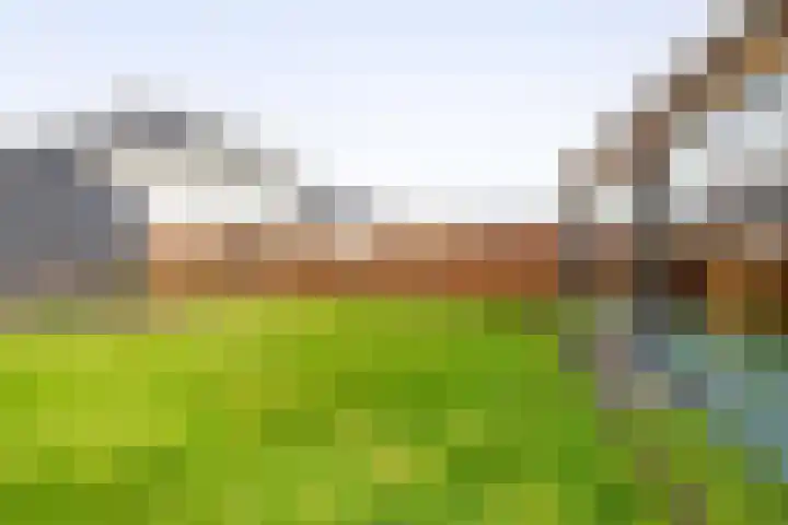 Hof 6 Meijel thumbnail 73