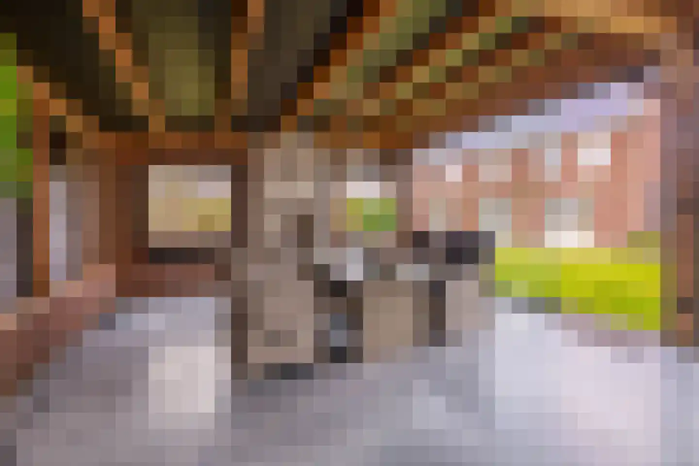 Hof 6 Meijel thumbnail 75