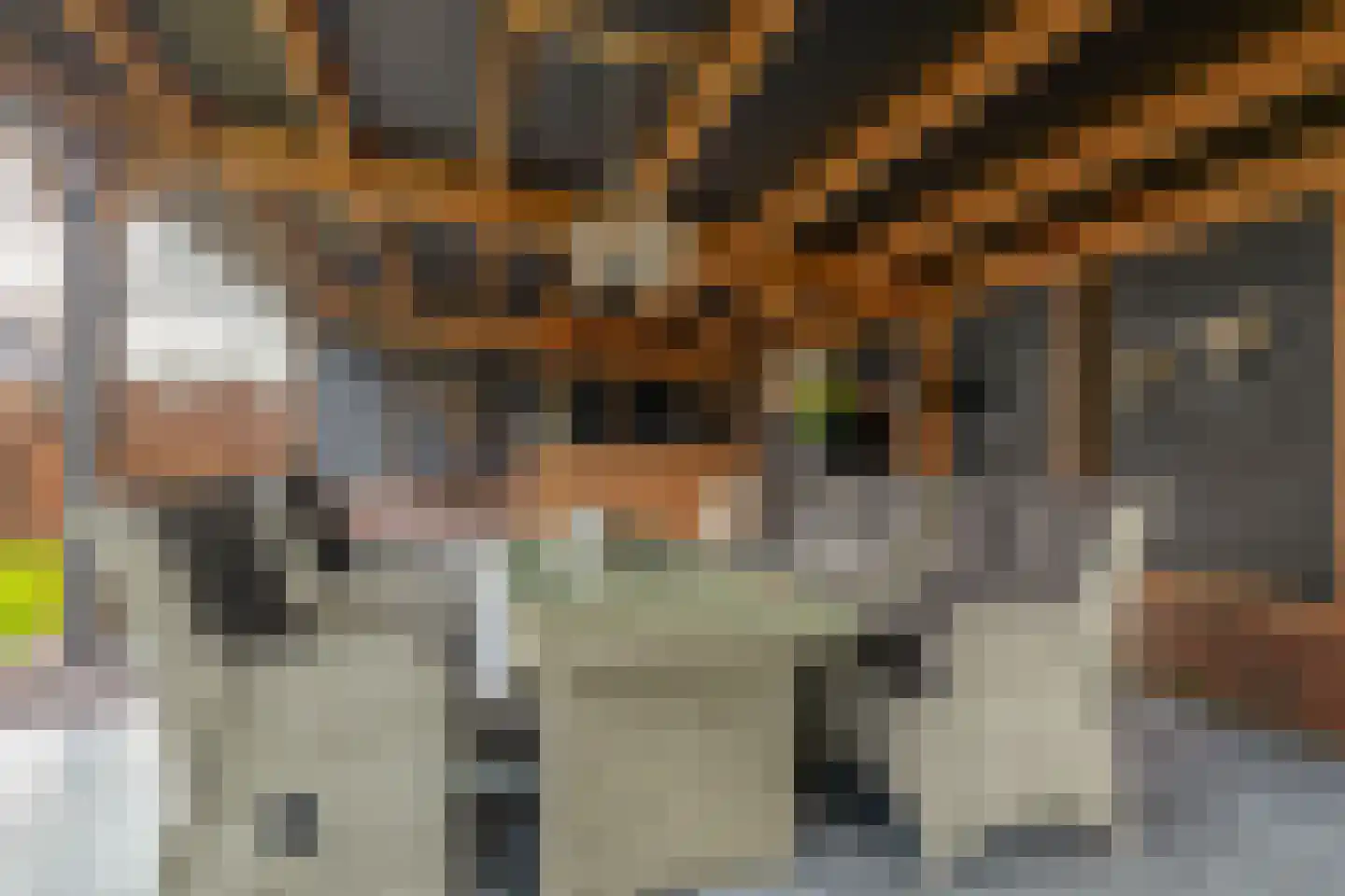 Hof 6 Meijel thumbnail 76