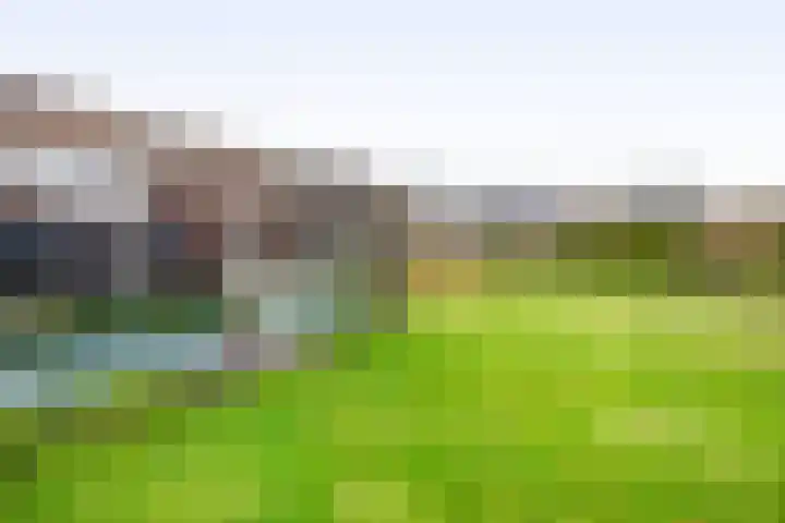 Hof 6 Meijel thumbnail 76