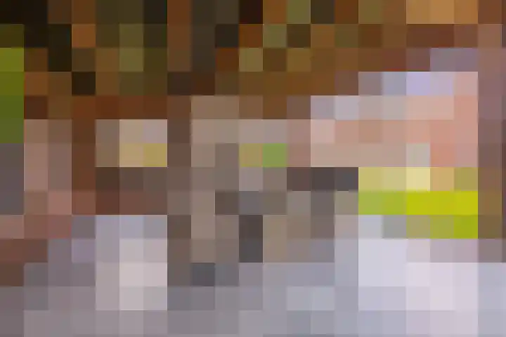 Hof 6 Meijel thumbnail 77