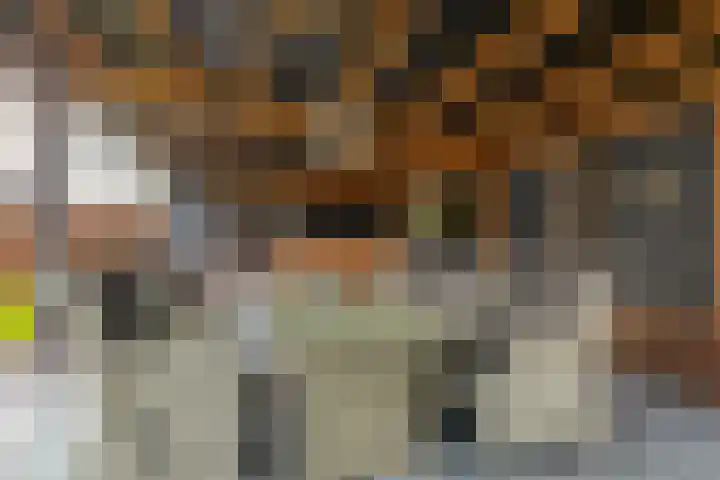 Hof 6 Meijel thumbnail 78