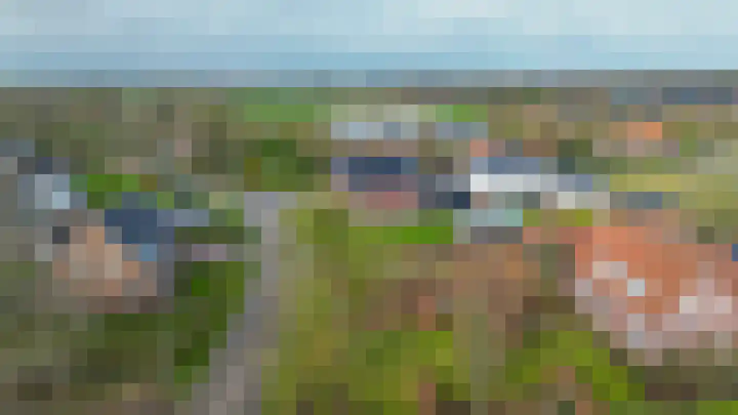 Hof 6 Meijel thumbnail 79