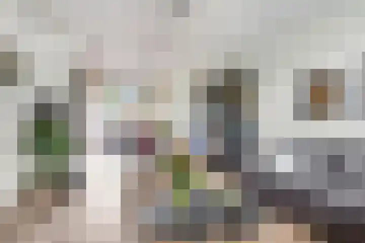 Hof 6 Meijel thumbnail 8