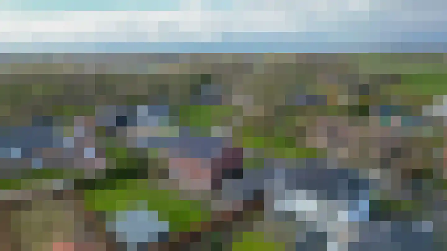 Hof 6 Meijel thumbnail 80