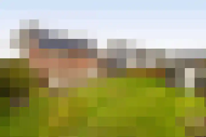 Hof 6 Meijel thumbnail 81