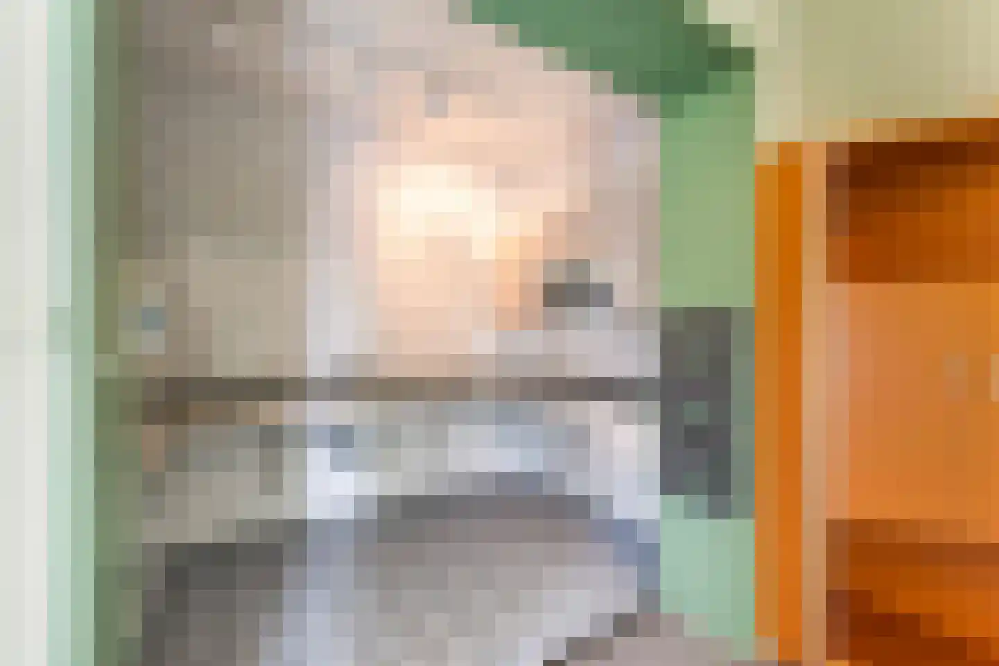 Hôf 6 Wirdum thumbnail 27