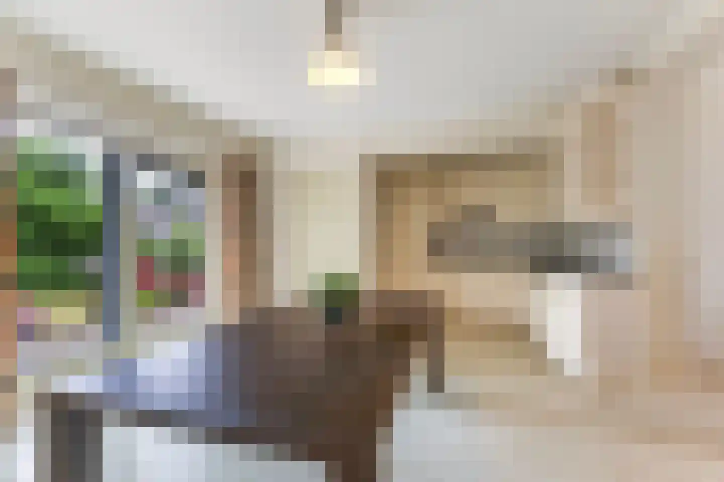 Hôf 6 Wirdum foto 3
