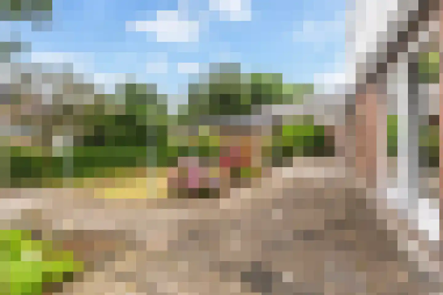 Hôf 6 Wirdum thumbnail 30