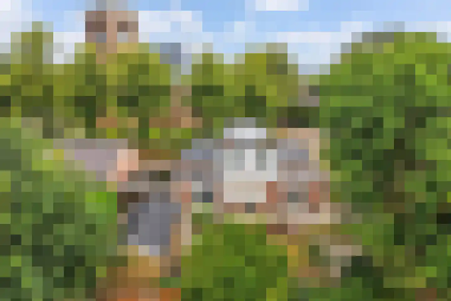 Hôf 6 Wirdum thumbnail 33