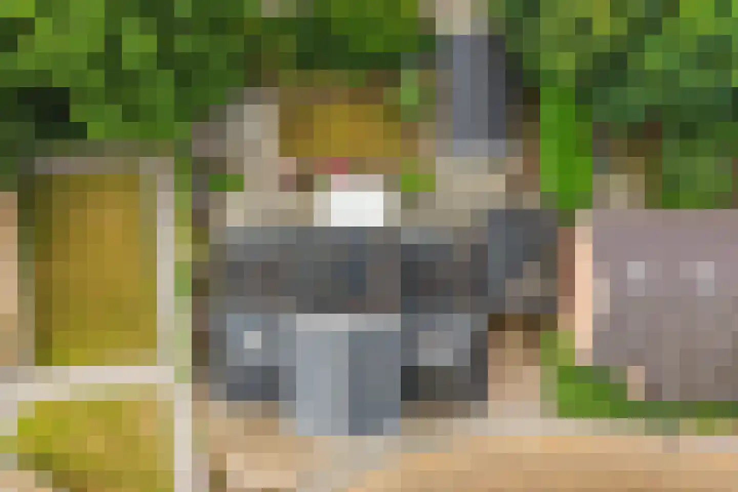 Hôf 6 Wirdum thumbnail 45