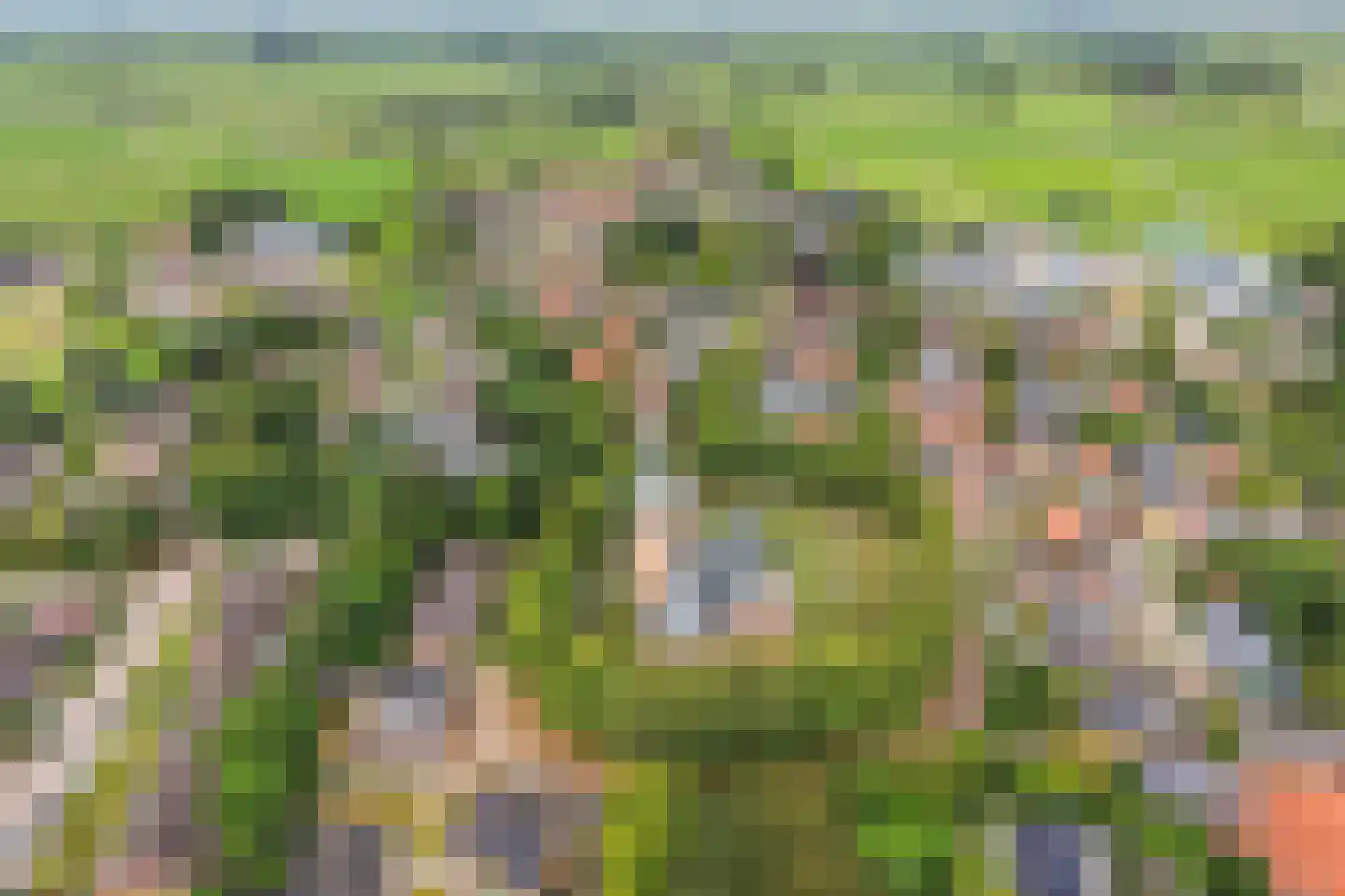 Hôf 6 Wirdum thumbnail 47