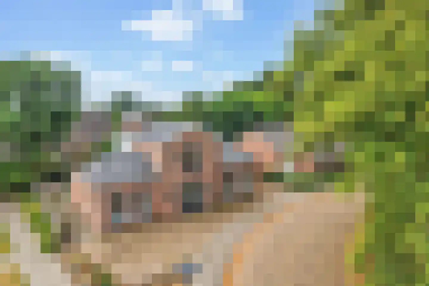 Hôf 6 Wirdum thumbnail 8