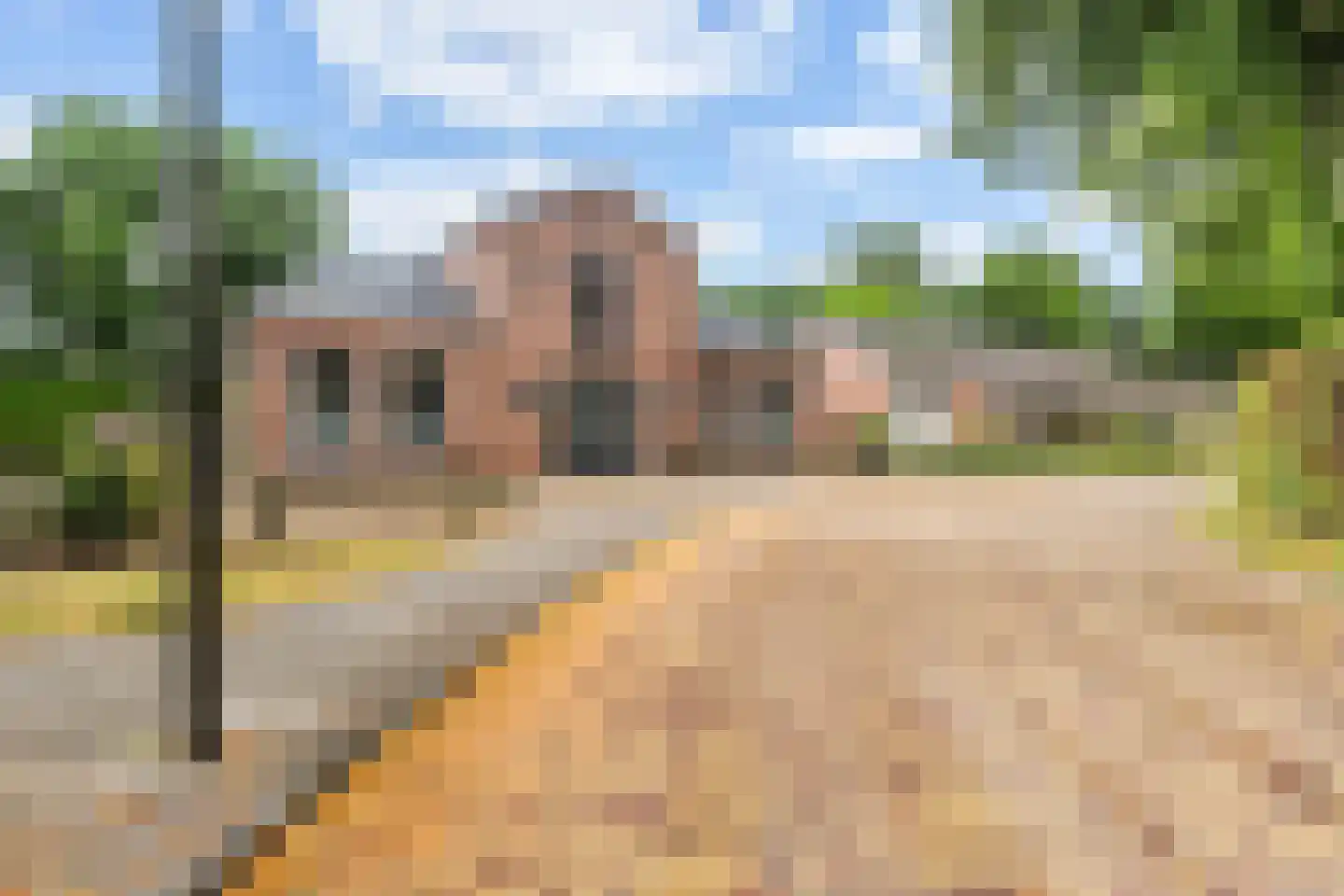 Hôf 6 Wirdum thumbnail 9