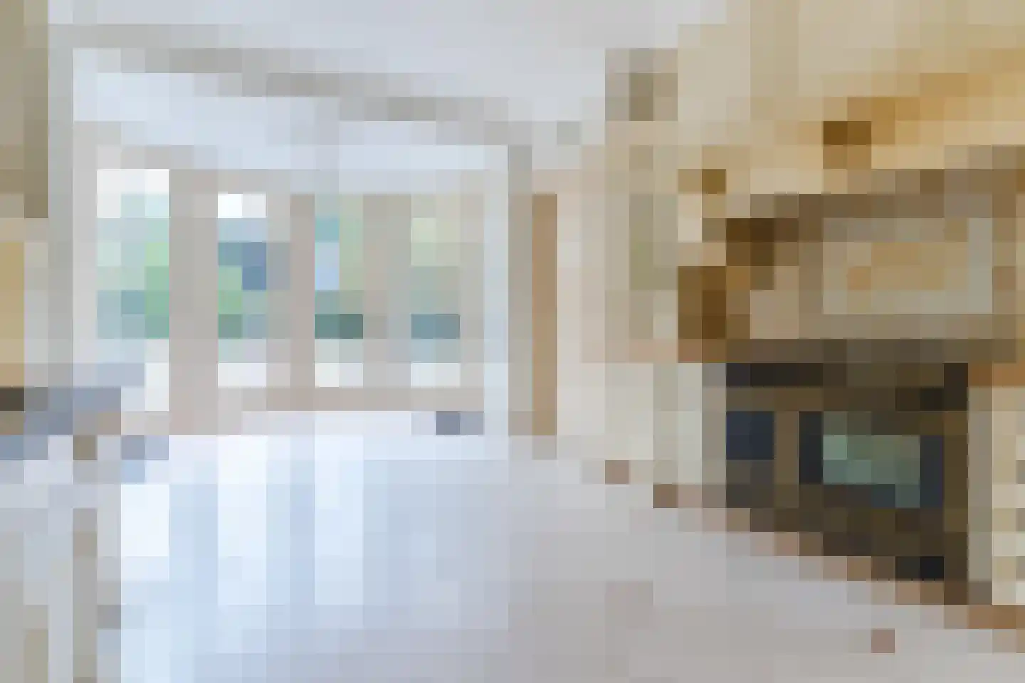 Hof 61 Bergeijk thumbnail 4