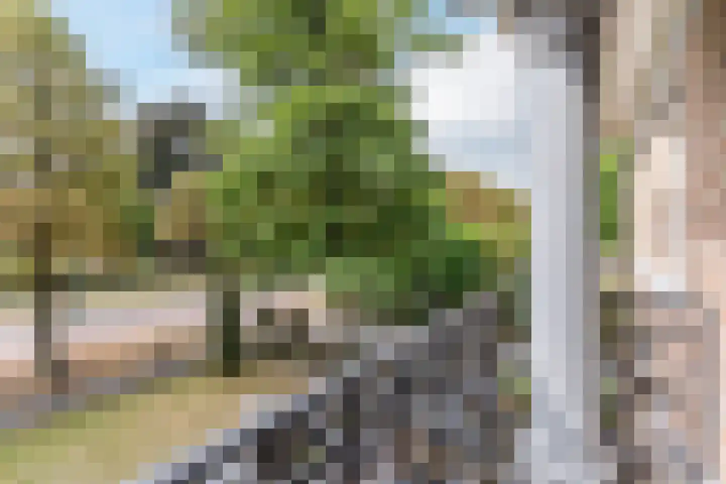 Hof 61 Bergeijk thumbnail 44