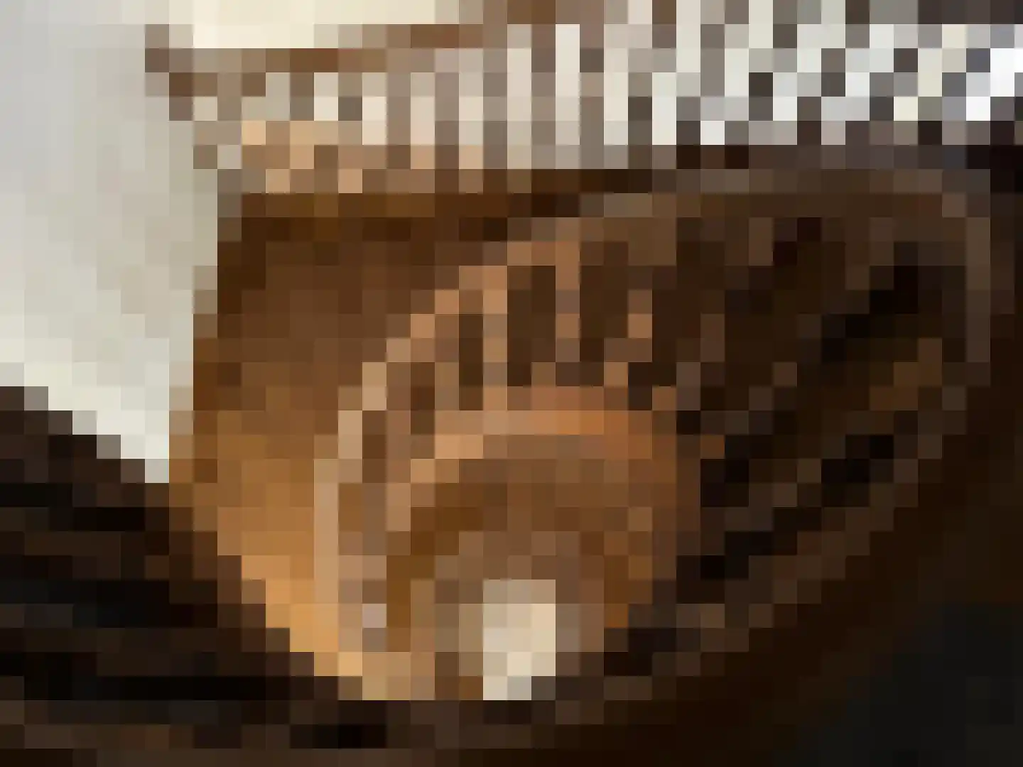 Hof 61 Bergeijk thumbnail 5